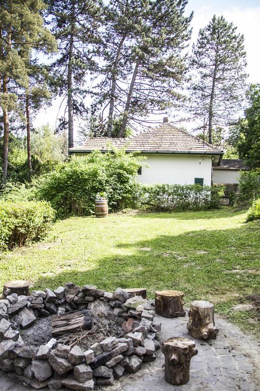 Teraszház Zebegény Villa Kültér fotó